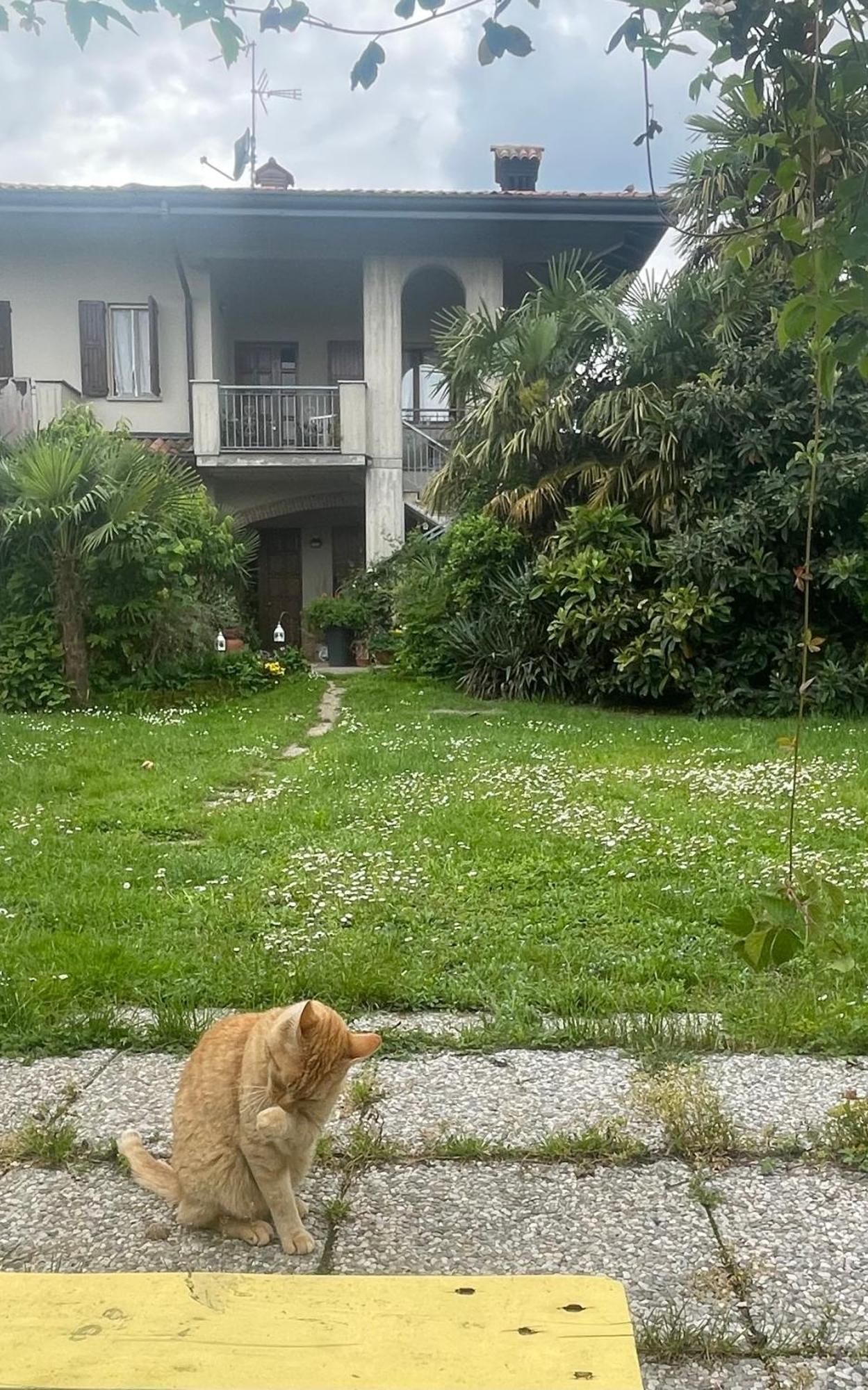 Il Giardino Di Emilia - Intero Appartamento In Villa Con Giardino Privato E Piscina Estiva Pontirolo Nuovo Exterior foto